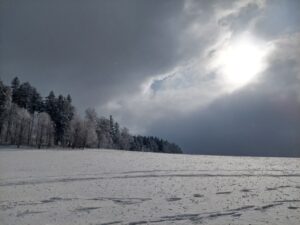 D - P - Hlávková Jana Alice - Jaráky